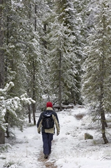 Images Dated 30th September 2009: Hiking in the first snow of the winter, Sawtooth Mountains, Rocky Mountains