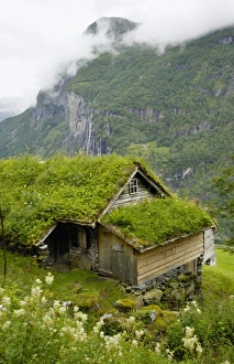 Images Dated 3rd August 2010: Hiking along Geirangerfjorden, near Skagefla, Geiranger, UNESCO World Heritage Site