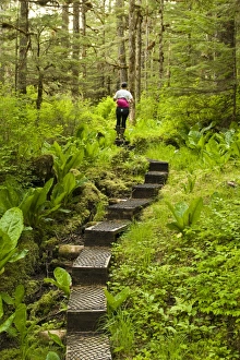 View From Behind Prints: Hiking in the Ideal Cove area of Southeast Alaska, Alaska, United States of America