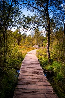 Pulpit Rock Prints: Hiking to Pulpit Rock, Stavanger, Norway, Scandinavia, Europe