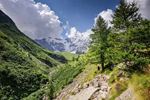 Outdoor Activities Prints: Hiking trail in alpine landscape facing Monte Rosa with lush forest and meadows in moraine landscape