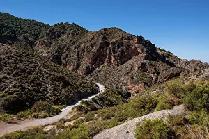 Local Flora Prints: Hiking trail in the arid gorge canyon landscape of Los Cahorros Monachil