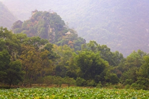 Guangxi Prints: Hill with Chinese pavillons, Yangshuo Park, Yangshuo, Guangxi Province, China, Asia