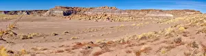 Holbrook Prints: Hills of Demons and Fallen Angels, The Devils Playground in Petrified Forest