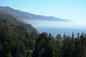 Big Sur Prints: Hills and forest with misty coastline beyond