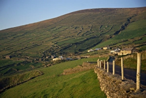 Slea Head Prints: Hillside divided by stone walls