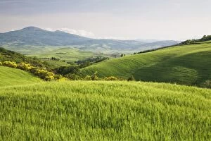 Hilly landscape Val d Orcia, UNESCO World Heritage Site, with Monte Amiata in the background, Province Siena, Tuscany