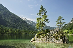Berchtesgadener Land Prints: Hintersee, Berchtesgadener Land, Bavaria, Germany, Europe