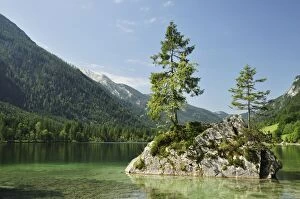 Images Dated 14th July 2010: Hintersee, Berchtesgadener Land, Bavaria, Germany, Europe