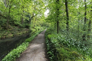Historic Cromford Canal and tow path in spring, Derwent Valley Mills, UNESCO World Heritage Site