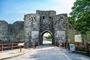 Towers Prints: Historic fortifications of Provins showcasing ancient architecture in France