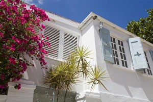 Virgin Islands Prints: Historic Kongens Quarter, Charlotte Amalie