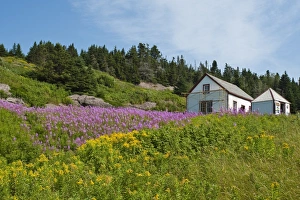 Images Dated 15th August 2009: Historic settlement on Ile Bonaventure offshore of Perce, Quebec, Canada, North America
