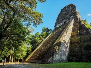 Sights Prints: Historic structure of Temple V in Tikal surrounded by lush trees in Guatemala