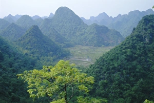 Haze Prints: Hoang Son Mountains