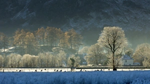 Hoar Frost Prints: Hoar frost over Stonethwaite village in Borrowdale, Lake District National Park, Cumbria