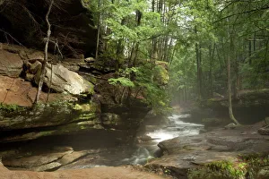 Lush Prints: Hocking Hills State Park, Ohio, United States of America, North America