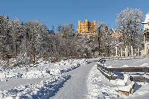 Wooden Fence Prints: Hohenschwangau Castle, Schwangau, Fussen, Swabia, Bavarian Alps, Bavaria, Germany, Europe