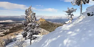 Hohenzollern Castle Prints: Hohenzollern Castle in winter, Swabian Alps, Baden-Wurttemberg, Germany, Europe