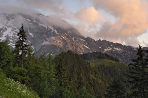 Images Dated 18th June 2008: Hoher Goll mountain range seen from the Rossfeld Panoramastrasse