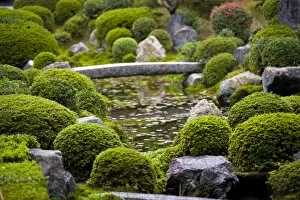 Images Dated 31st October 2008: Hojo Hasso (Zen) Garden, Tofuku-ji, Kyoto, Japan, Asia