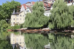 Baden Wurttemberg Prints: Holderlinturm tower and Stocherkahn (punt) reflecting in Neckar River