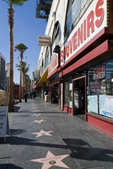 Holly Wood Prints: Hollywood Boulevard