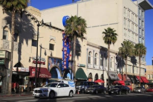 Holly Wood Prints: Hollywood Boulevard, Hollywood