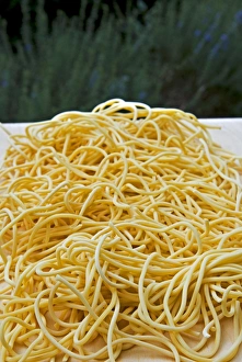 Fresh Prints: Homemade fresh spaghetti, Italian pasta, Italy, Europe