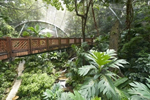 Aviary Prints: Hong Kong Park Aviary in Central, Hong Kong Island, Hong Kong, China, Asia