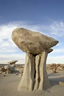 Images Dated 17th March 2009: Hoodoo, Bisti Wilderness, New Mexico, United States of America, North America