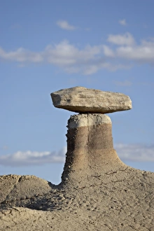 Images Dated 15th March 2009: Hoodoo, Bisti Wilderness, New Mexico, United States of America, North America