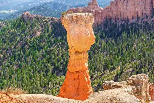 Hoodoo Prints: Hoodoo known as The Hunter at Agua Canyon, Bryce Canyon National Park, Utah, USA