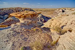 Hoodoo Prints: A hoodoo shaped like a table top, on a cliff along the Blue Mesa in Petrified Forest