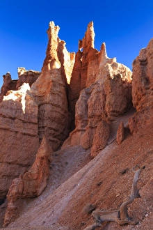 Hoodoo Prints: Hoodoos backlit by winter early morning sun