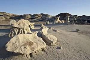 Images Dated 15th March 2009: Hoodoos, Bisti Wilderness, New Mexico, United States of America, North America