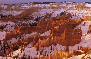 Hoodoos Prints: Hoodoos, Bryce amphitheater