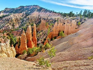 Hoodoos Prints: Hoodoos at Bryce Point, Bryce Canyon National Park, Utah, United States of America