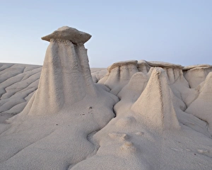 Images Dated 16th March 2009: Hoodoos and erosion drainage, Bisti Wilderness, New Mexico, United States of America