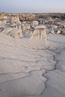 Images Dated 16th March 2009: Hoodoos and erosion drainage, Bisti Wilderness, New Mexico, United States of America