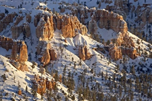 Images Dated 20th December 2008: Hoodoos with fresh snow, Bryce Canyon National Park, Utah, United States of America