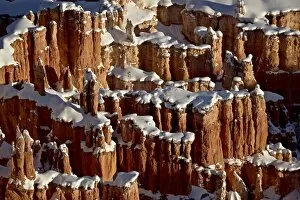 Images Dated 20th December 2008: Hoodoos with fresh snow, Bryce Canyon National Park, Utah, United States of America