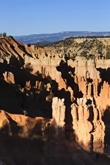 Hoodoos Prints: Hoodoos and lone pine tree on a ridge lit by late afternoon sun