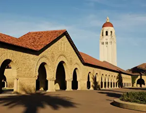 Education Prints: Hoover Tower near the Main Quad at Stanford University in the San Francisco Bay Area