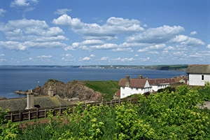 Hope Cove, Devon, England, United Kingdom, Europe