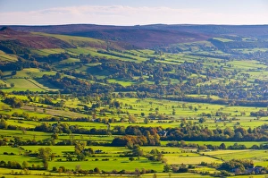 Green Colour Prints: Hope Valley, Peak District National Park, Derbyshire, England