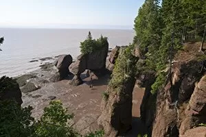 Images Dated 28th July 2009: Hopewell Rocks and The Ocean Tidal Exploration Site, New Brunswick, Canada, North America