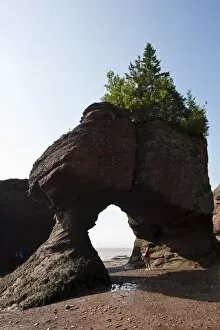 Hopewell Rocks and The Ocean Tidal Exploration Site, New Brunswick, Canada, North America