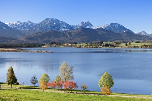 Bayern Prints: Hopfensee Lake in autumn, near Fussen, Allgau, Allgau Alps, Bavaria, Germany, Europe