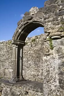 Images Dated 10th August 2006: Hore Abbey, Cashel Town, County Tipperary, Munster, Republic of Ireland, Europe